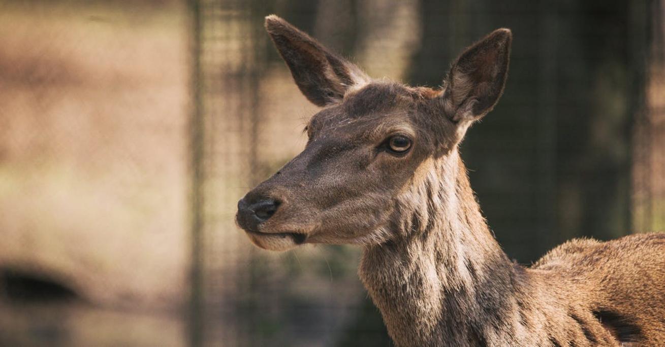 Mvp co to znaczy i jak wpływa na szybki rozwój produktu