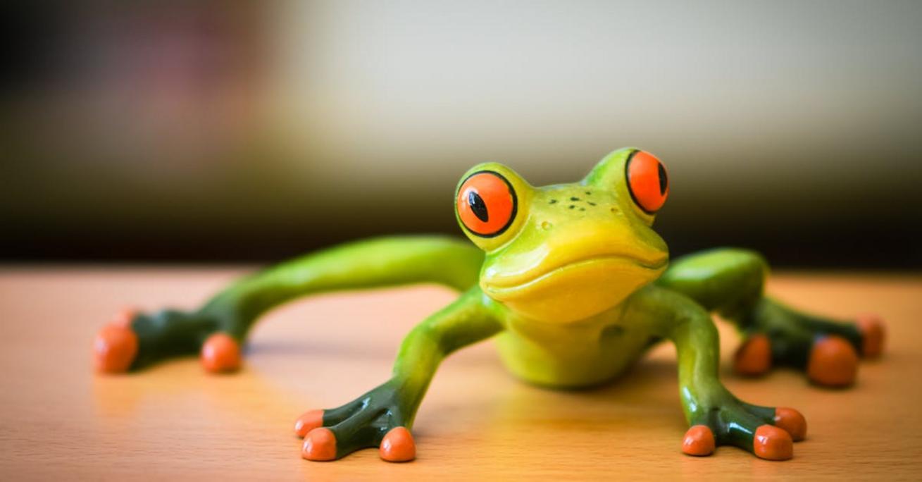 Screaming Frog SEO Spider — co to jest i jak zrobić audyt SEO strony krok po kroku