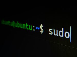 Specjalista informatyki śledczej analizuje dane na komputerze, dowody cyfrowe