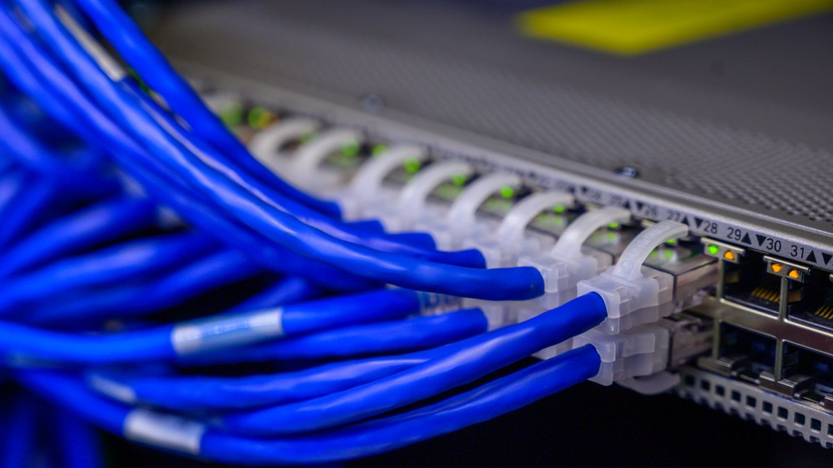 Niebieskie kable sieciowe podlaczone do switcha w szafie serwerowej