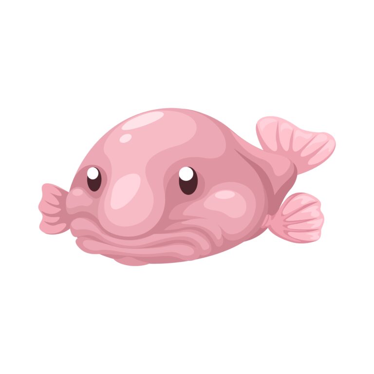 blob fish