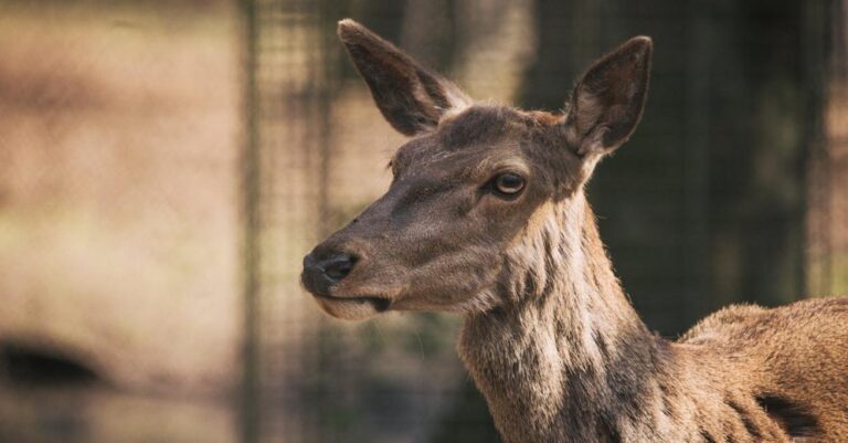 b2c co to oznacza w praktyce i jak wpływa na rynek e-commerce